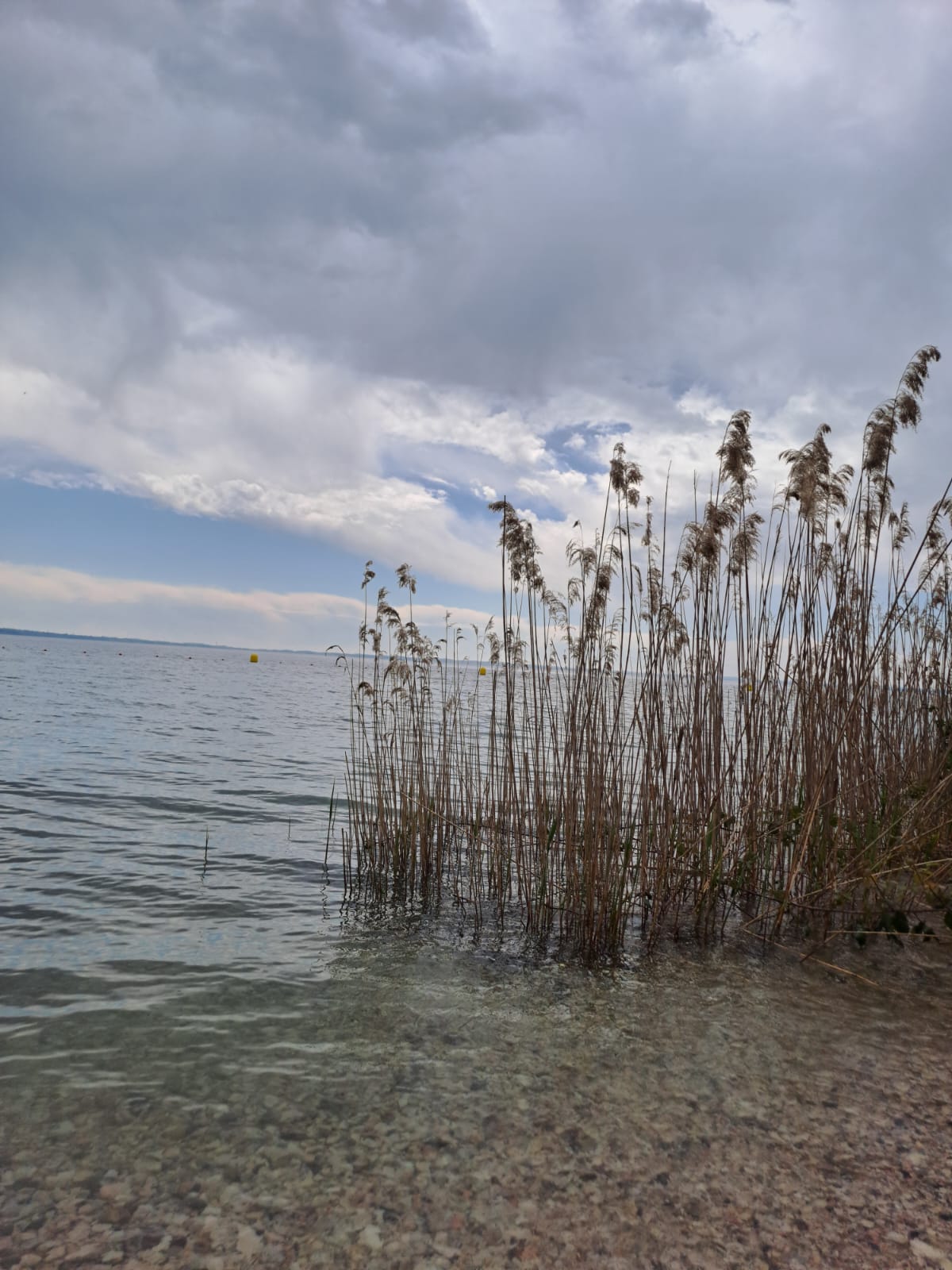 Gardasee Wanderung 2024 - Sportverein Vals